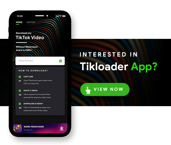 Téléchargeur vidéo TikTok sans filigrane |  Script PHP avec Front End |  TikLoader - 3