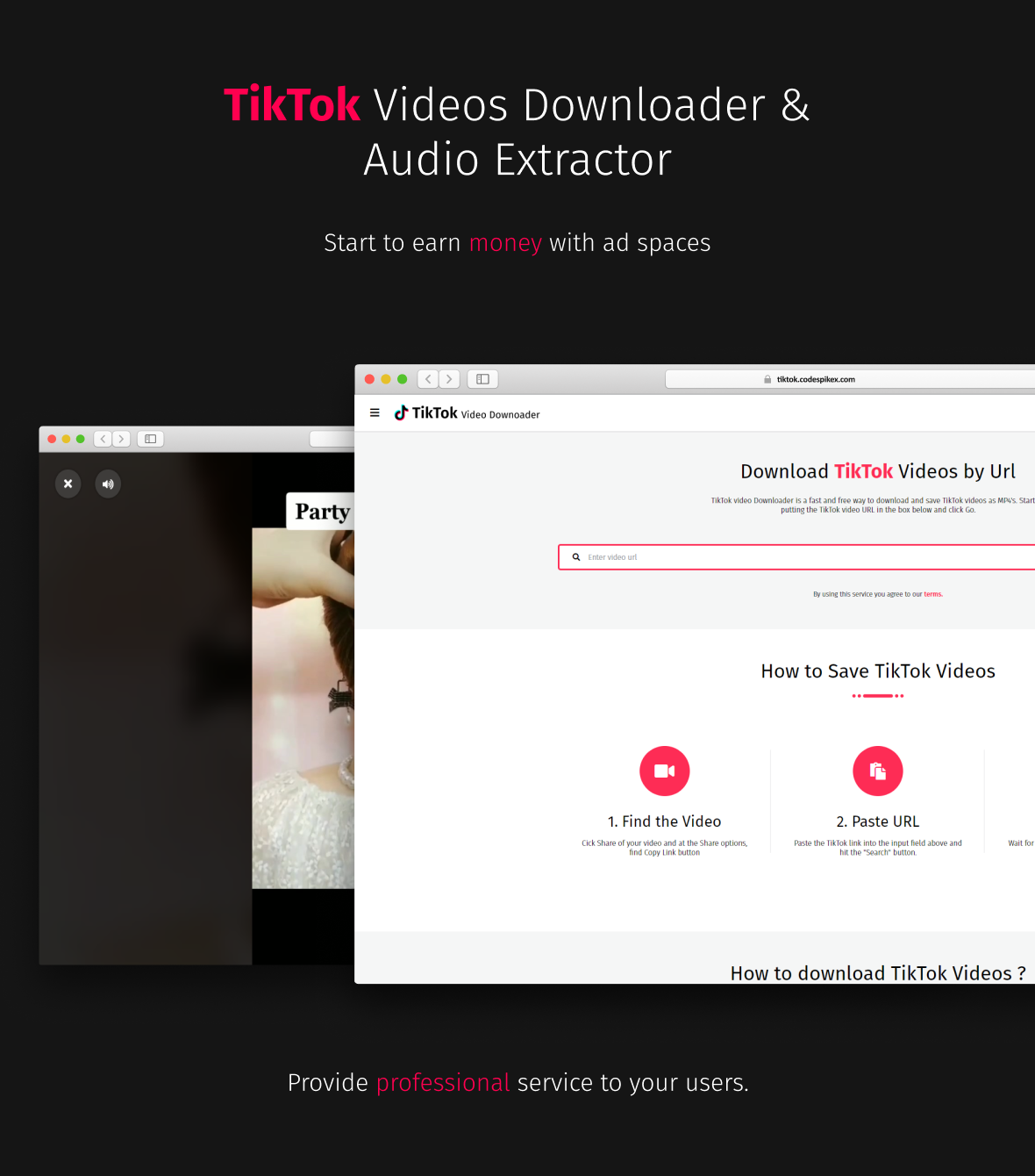 Téléchargeur de vidéos TikTok sans filigrane et extracteur de musique - 2