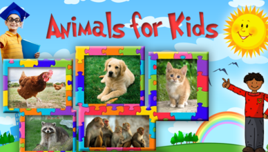 Android App Animal Sounds Educational Learning