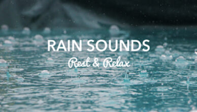 Rainy Sounds - Rain Theme Instrumentals for Peace and Meditation