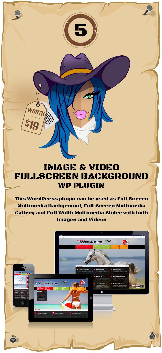 Image & Video Full Screen Background WordPress Plugin