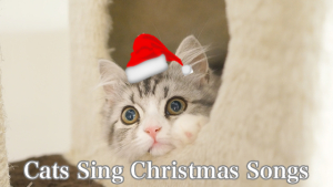 Cats Sing Silent Night Ident - 2