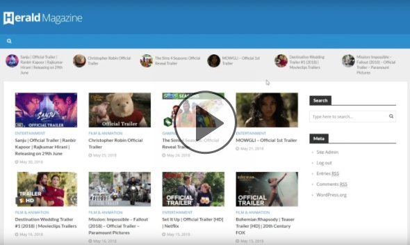 Video Blogster Pro - importez des vidéos YouTube sur WordPress.  Aussi DailyMotion, SoundCloud, Vimeo, plus - 7